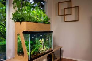 Aquaponics aquarium kit 29 gallon