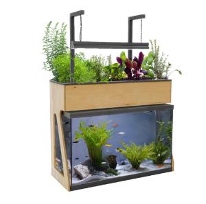 Aquaponics aquarium kit 29 gallon