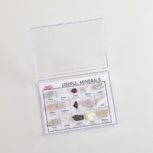 Ward's® Specimen Display Sets