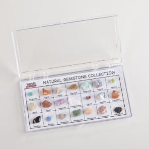 Ward's® Specimen Display Sets