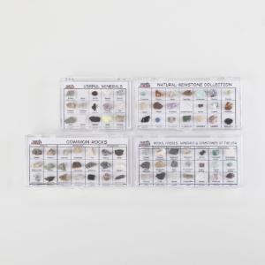 Ward's® Specimen Display Sets