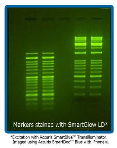 SmartGlow™ loading dye with stain for nucleic acid