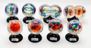 Animal Mitosis Model Set