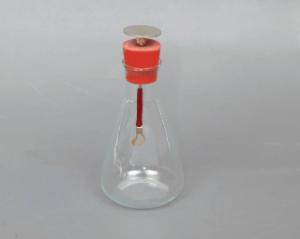 Flask Form Electroscope