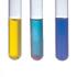 Ward's® Simulating Urinalysis Kit