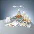 Ward's® Microbes at Work: Production of an Antibiotic Lab Activity