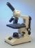 Swift 2250 Series Budget Microscopes