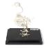 Pigeon Skeleton Articulated on Base