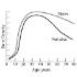 Science Take-Out® Brittle Bones: A Density Problem