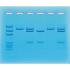 Nucleic acid detection for COVID-19