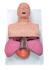 Simulaids® Adult Airway Management Trainer